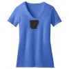 Women's Perfect Blend ® V Neck Tee Thumbnail