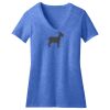 Women's Perfect Blend ® V Neck Tee Thumbnail